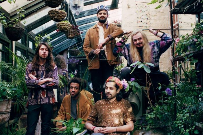 Flamingods (Image courtesy of Eleanor Hardwick)