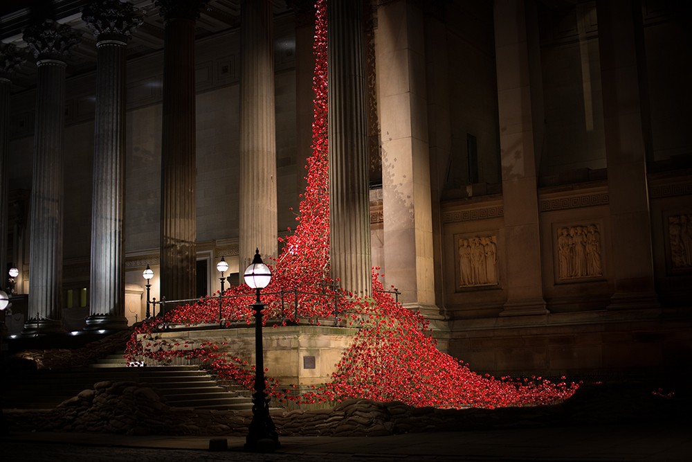 Liverpool Poppies