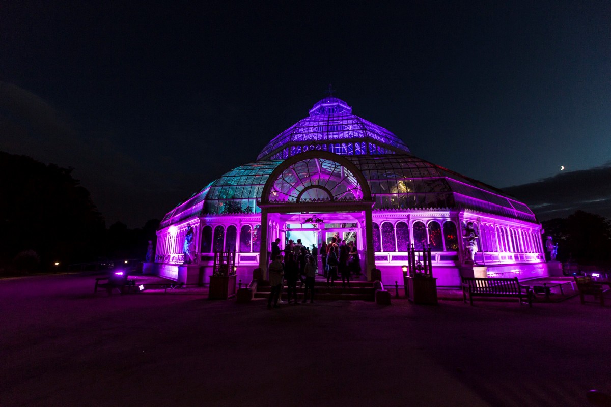 the-palm-house-red-bull-music-academy-1