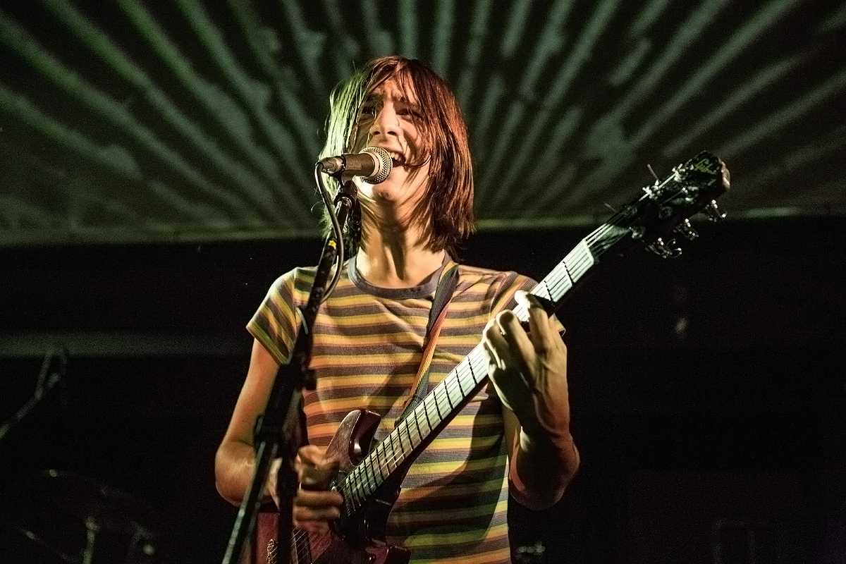 Lemon Twigs