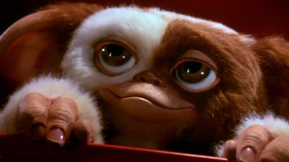 Gizmo time!