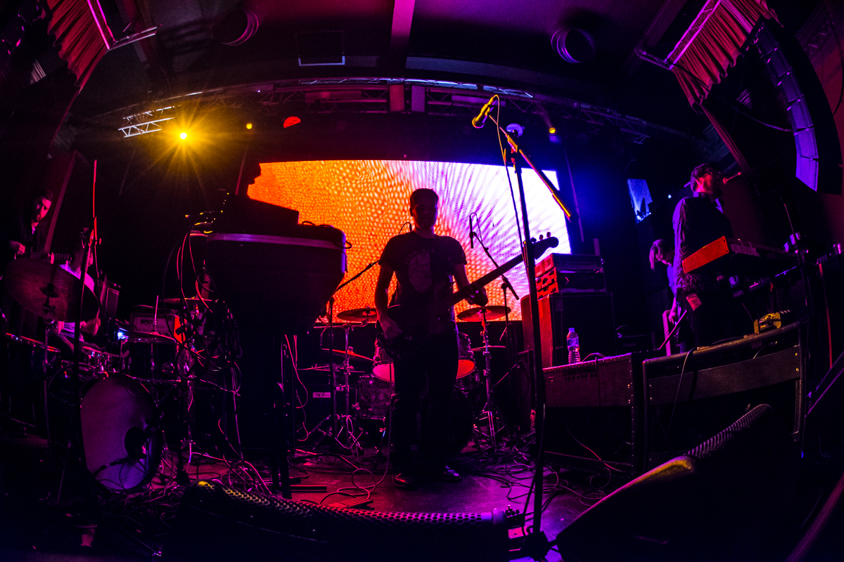 Hookworms