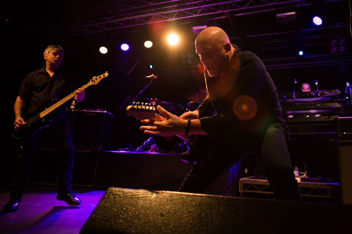The Stranglers