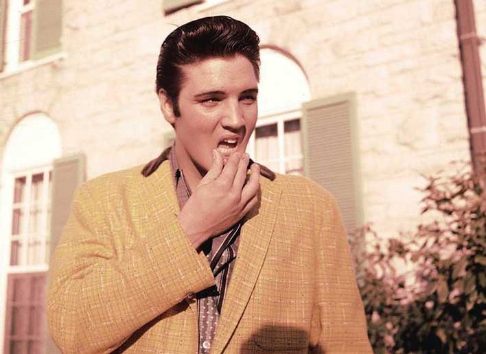 Elvis git 3 copy
