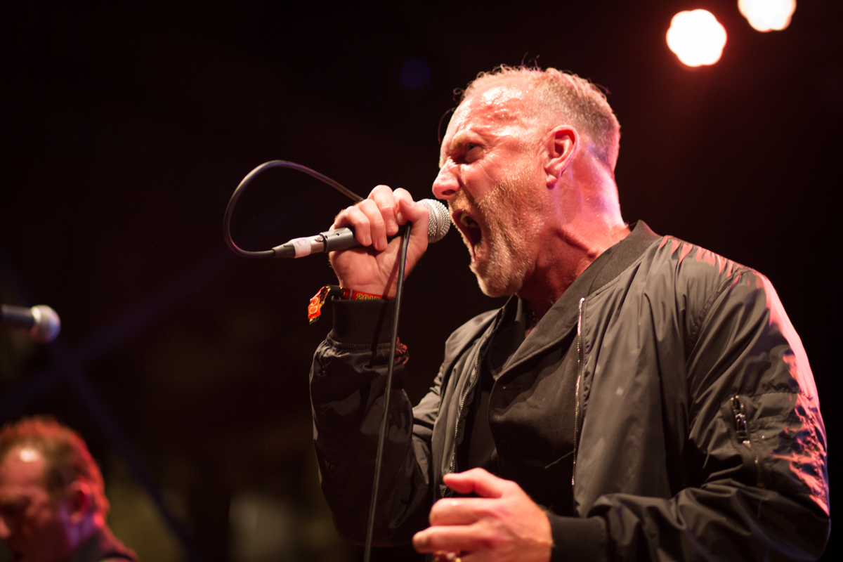 The Skids