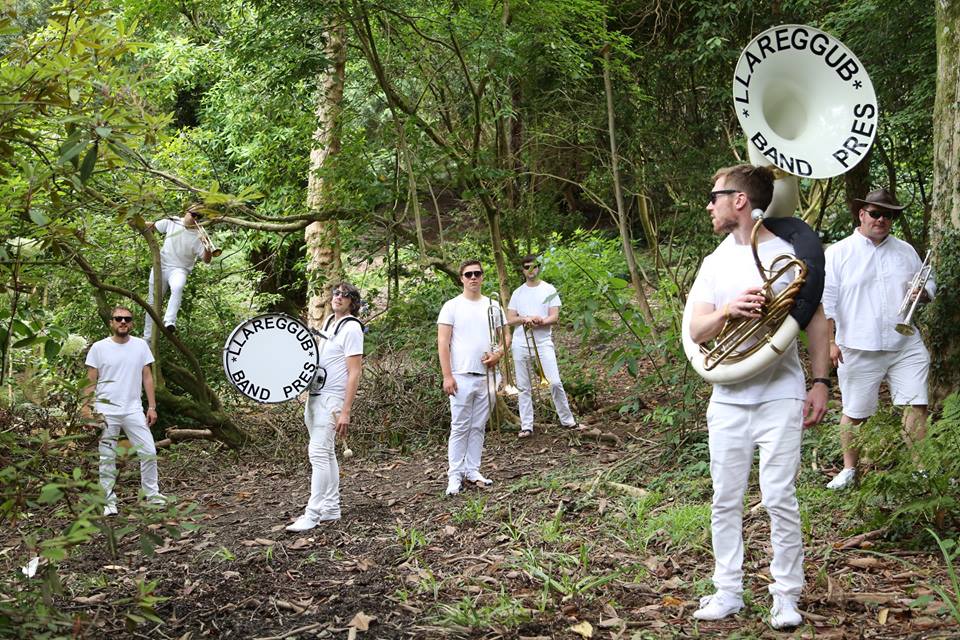 Band Pres Llareggub (from artists's Facebook page)