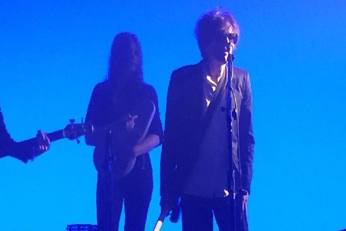 Peter Perrett (Credit:Artists Facebook page)