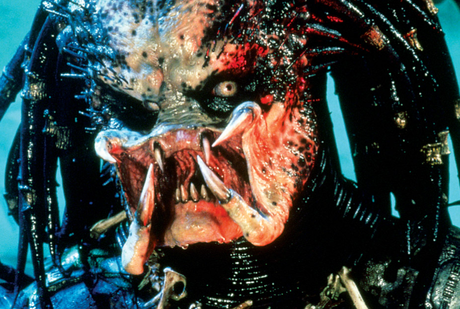 Predator