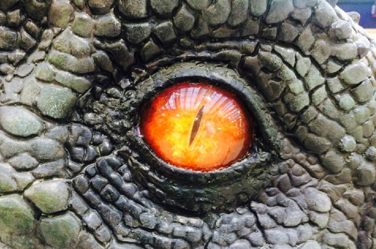 trex use