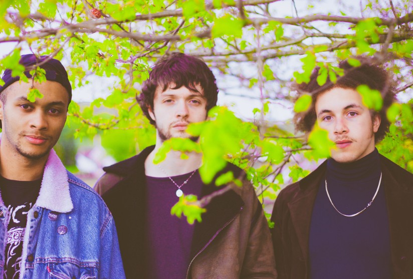 GRDNS (Photo Credit: Cam Harrison)