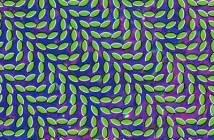 Four hundred acts for LSC inc Deerhunter & Animal Collective – good, eh?