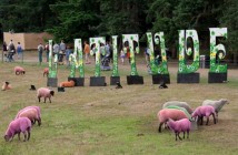 Latitude 2010: Getintothis top picks