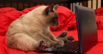 Ill Communication: A 10 step guide for bands and musicians to improve their email etiquette "Oh great. I have all the emails"