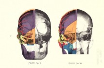 Mental health matters: exploring depression & anxiety in our musical mess age Mental Health Matters