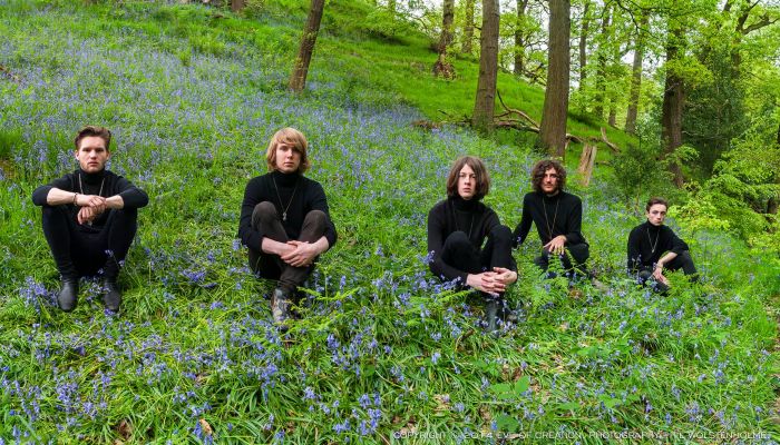 Blossoms