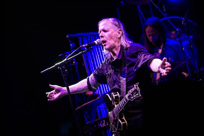 Swans