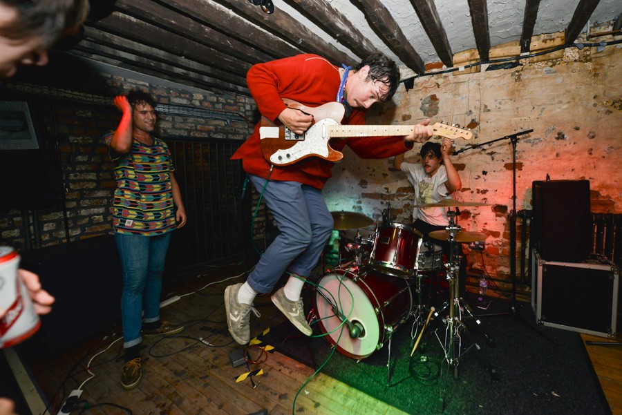 The Parrots