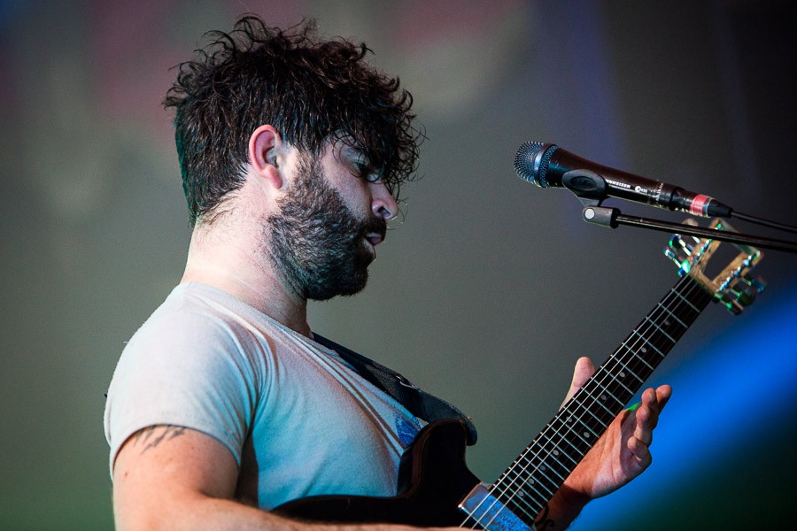Foals