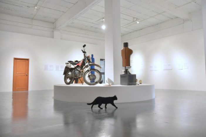 Lu Pingyuan, Unexpected Discovery, 2015