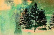Faded Gold: Last Night I Dreamt Alone