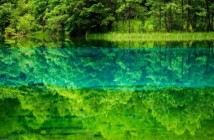 By The Sea: Dream Waters
