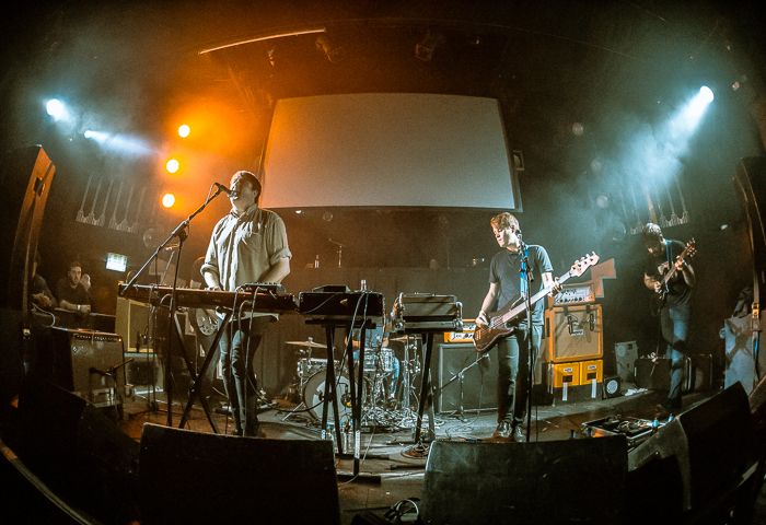 Hookworms