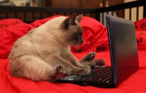 "Oh great. I have all the emails"
