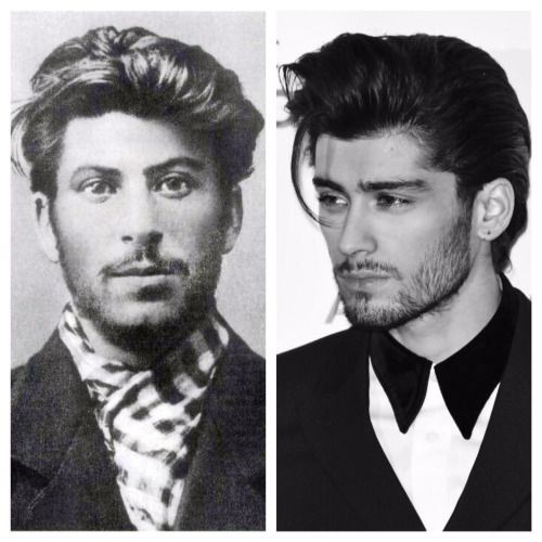 zane stalin