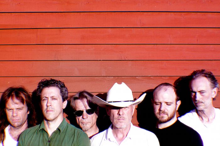 Swans