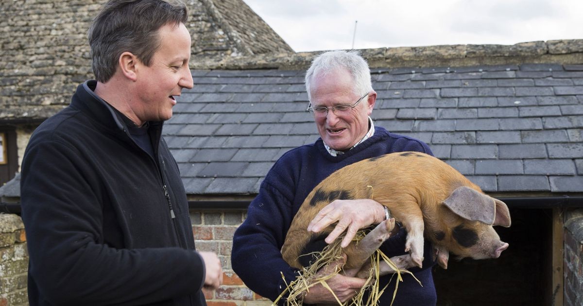 "I did not have sexual relations with that pig"