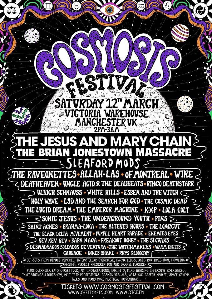 Cosmosis Festival