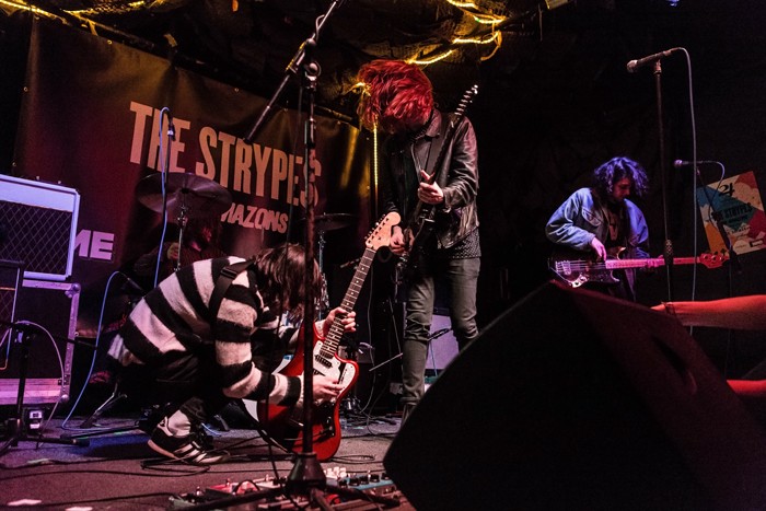 The Amazons