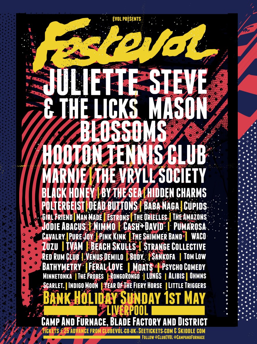 FestEvol New Final